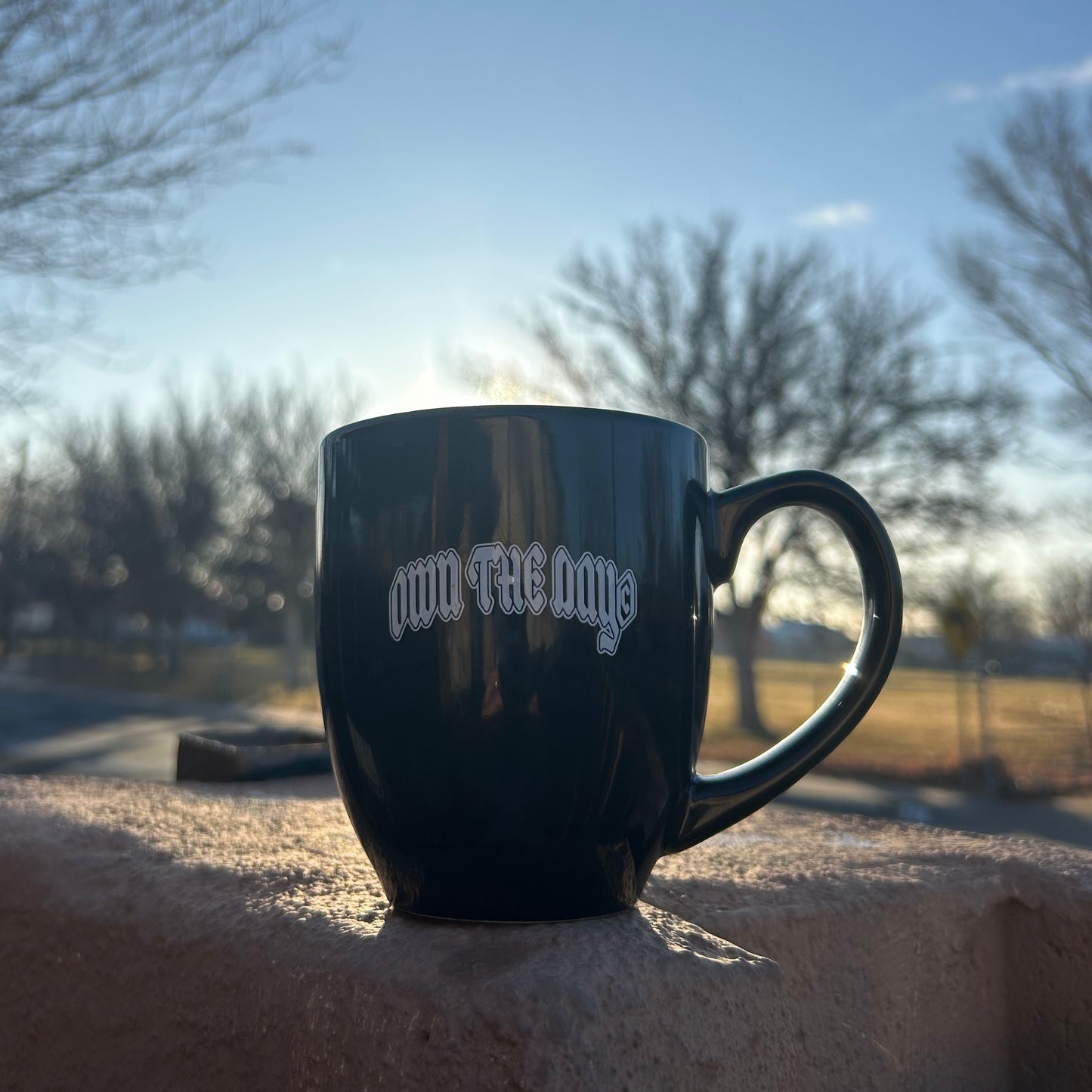 Own The Day© Mug
