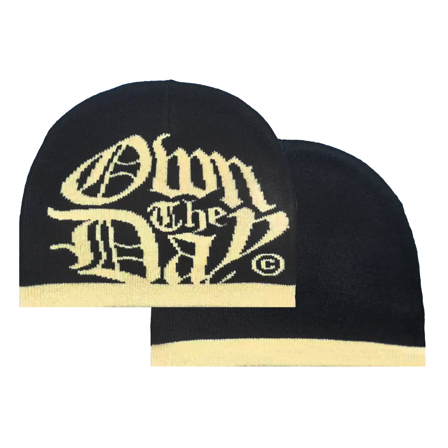 Own The Day Beanie