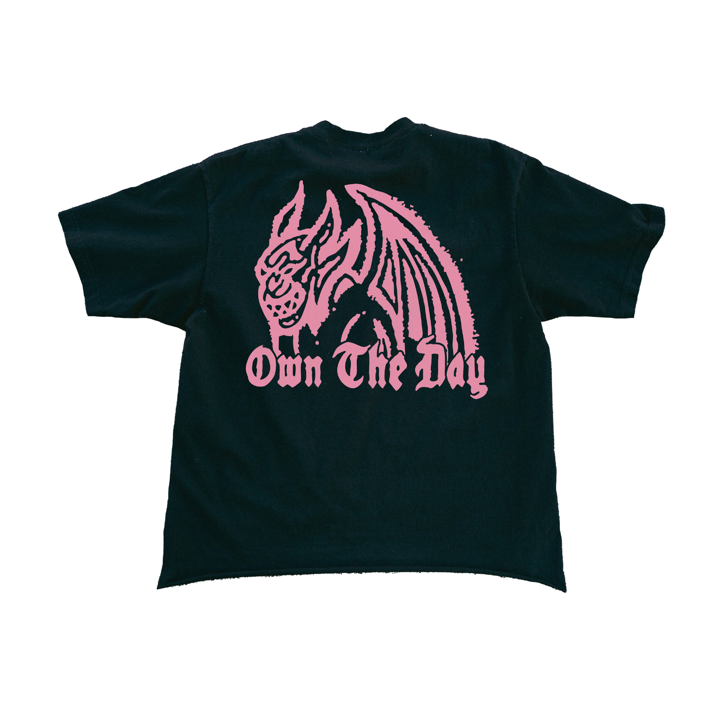 Pink Gargoyle tee
