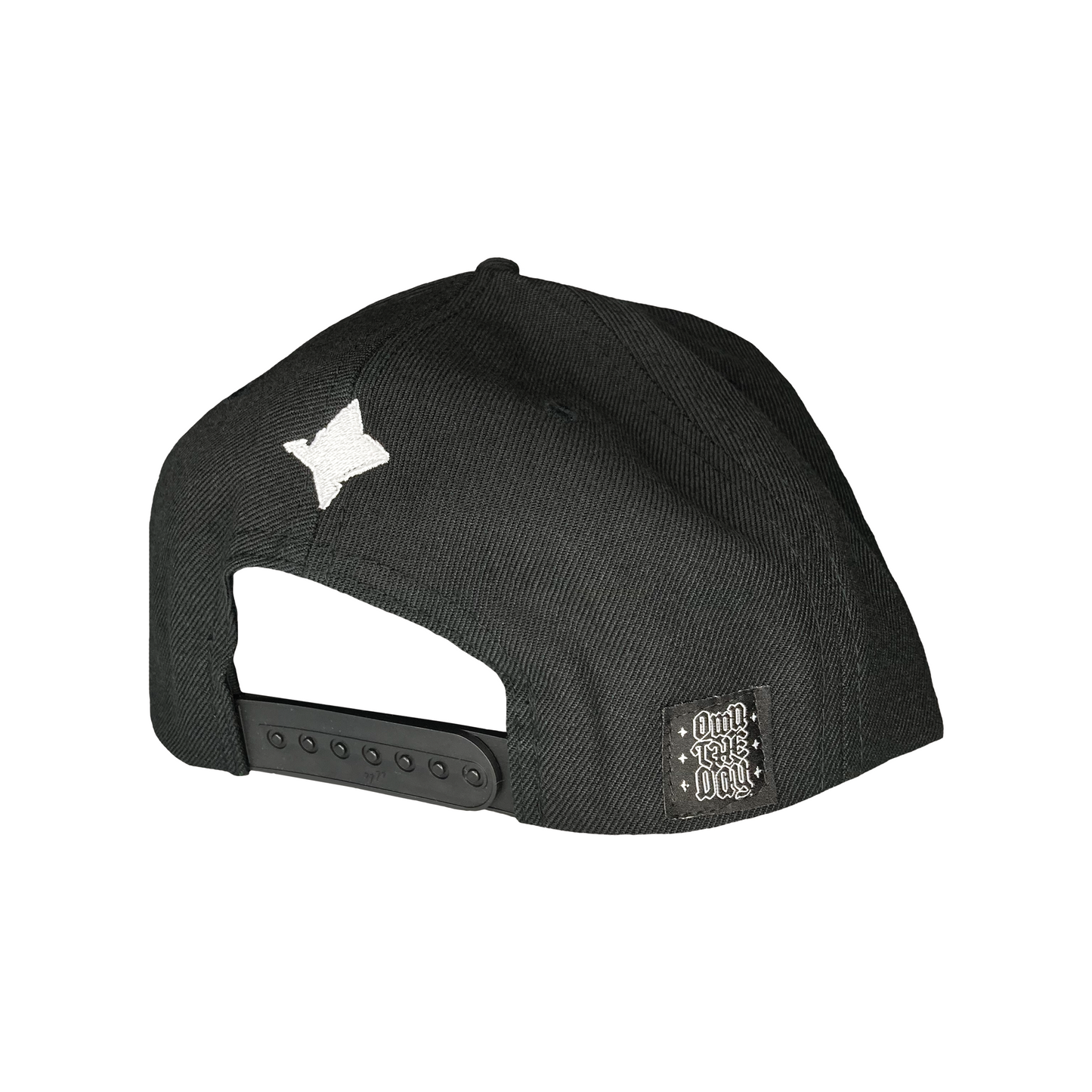 Own The Day Logo Snapback
